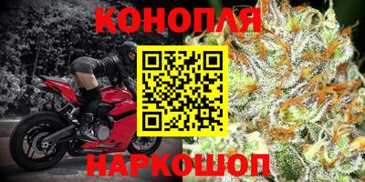 трава Донецк