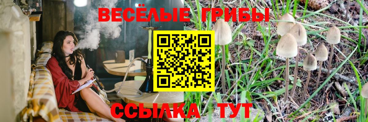 Галлюциногенные грибы GOLDEN TEACHER Междуреченск
