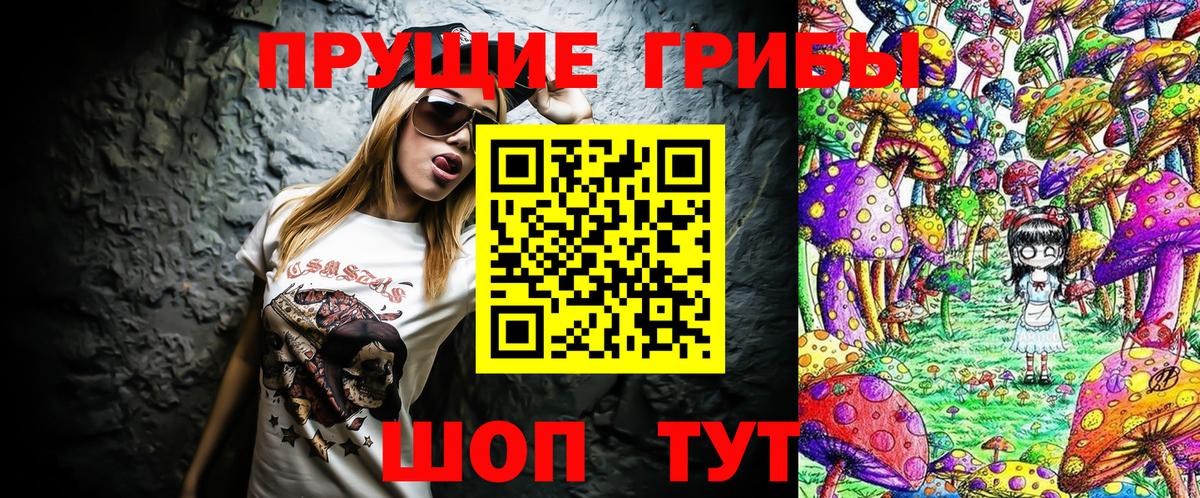 Междуреченск  Галлюциногенные грибы Cubensis  наркошоп  Вход с VPN  Галлюциногенные грибы GOLDEN TEACHER 